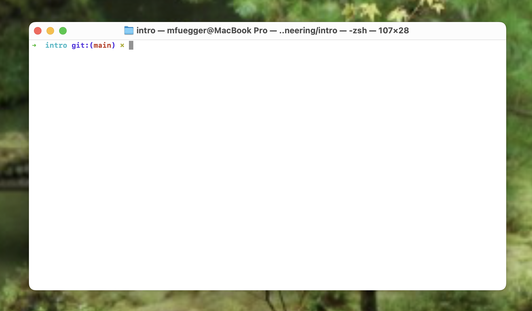 Picture of a terminal