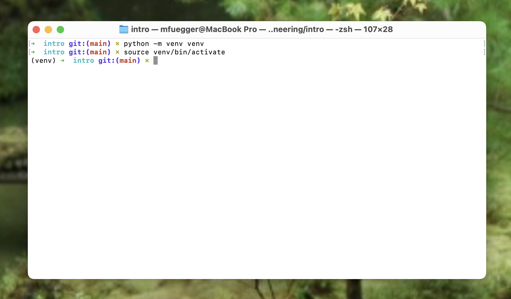 Terminal with venv activated