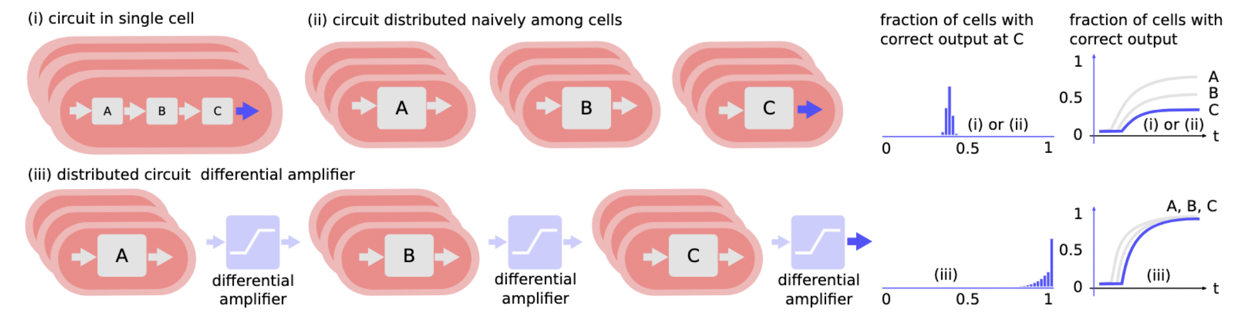 Circuit distribution