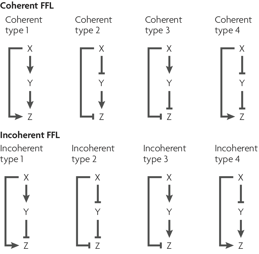 FFL classes