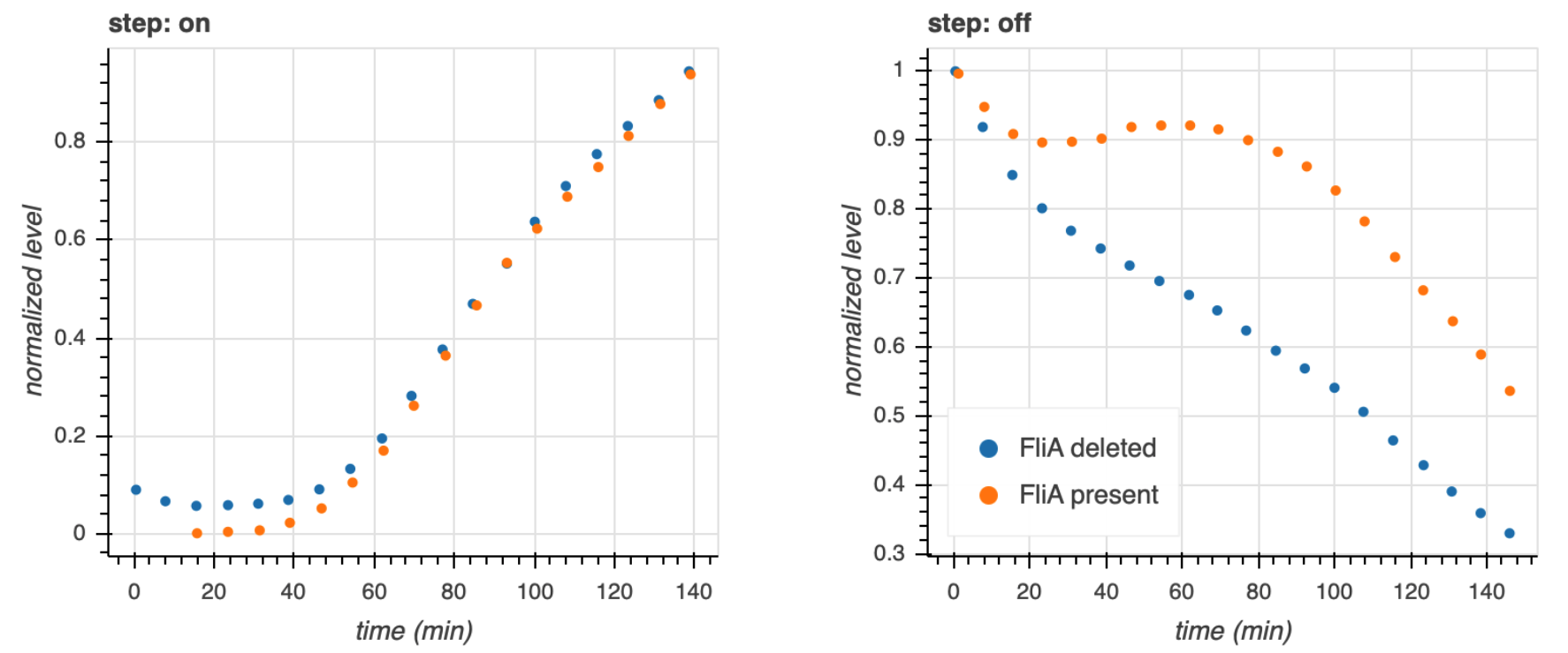 response to steps fliA