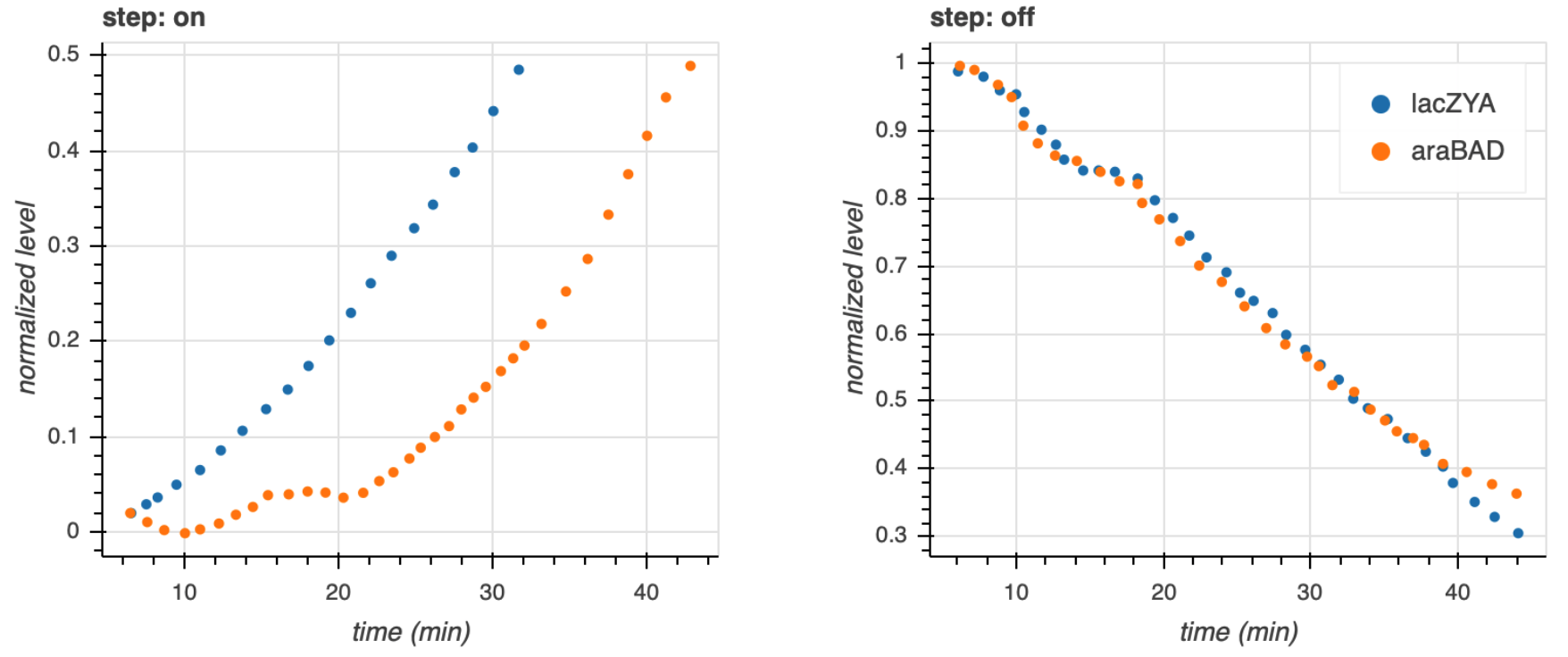 response to steps