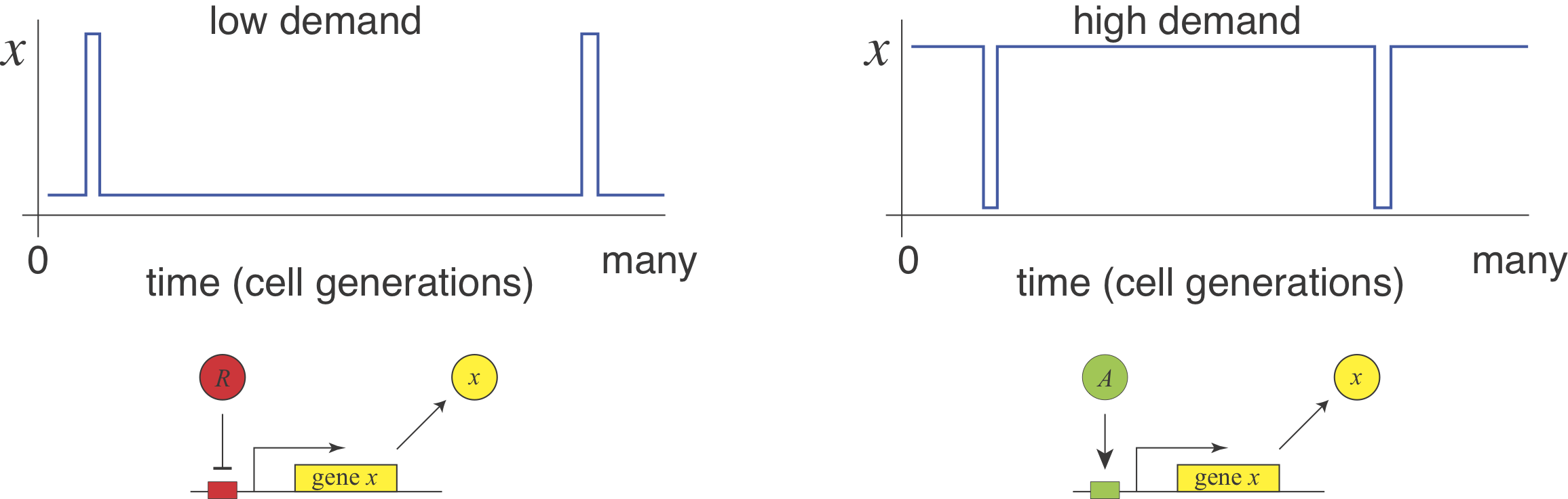 low demand, high demand