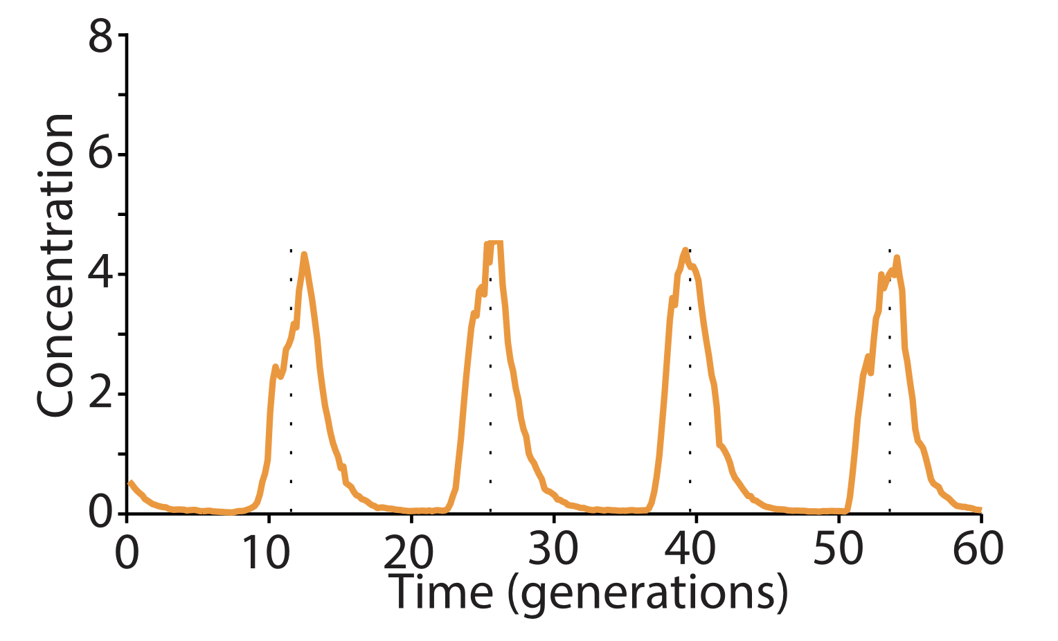 accurate repressilator trace